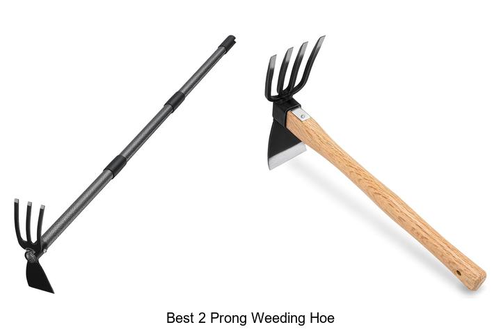 Discover The Best 2 Prong Weeding Hoe For Effortless Weeding!