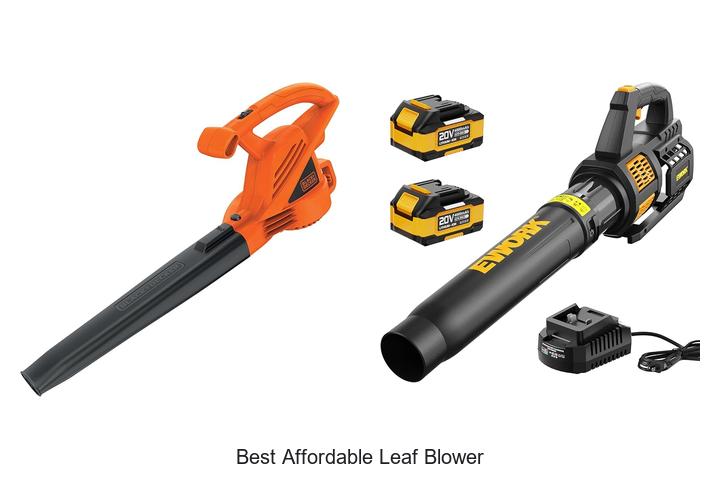 Top 10 Best Affordable Leaf Blower That Will Blow Your Mind