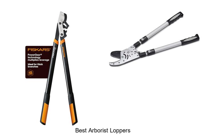 Best Arborist Loppers You Can’t Afford to Miss!