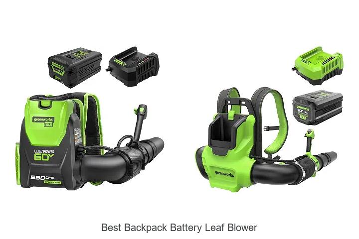Top 10 Best Backpack Battery Leaf Blower You Can’t Miss!