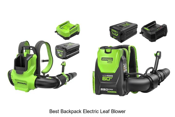 Top 10 Best Backpack Electric Leaf Blower You Need Now!