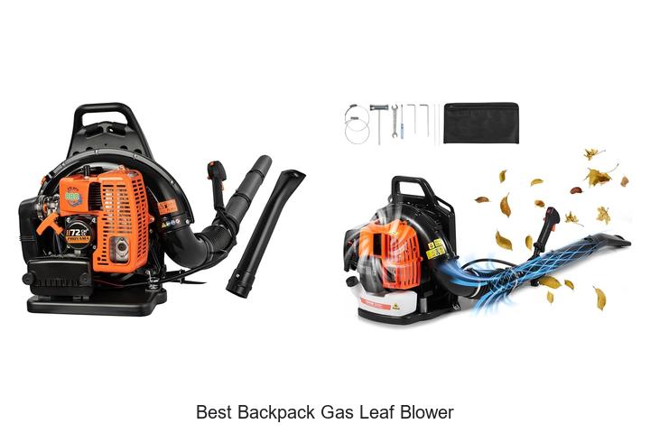 Top 10 Best Backpack Gas Leaf Blower You Can’t Miss!