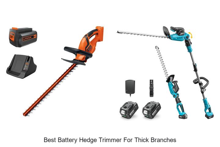 Best Battery Hedge Trimmer For Thick Branches Revealed!