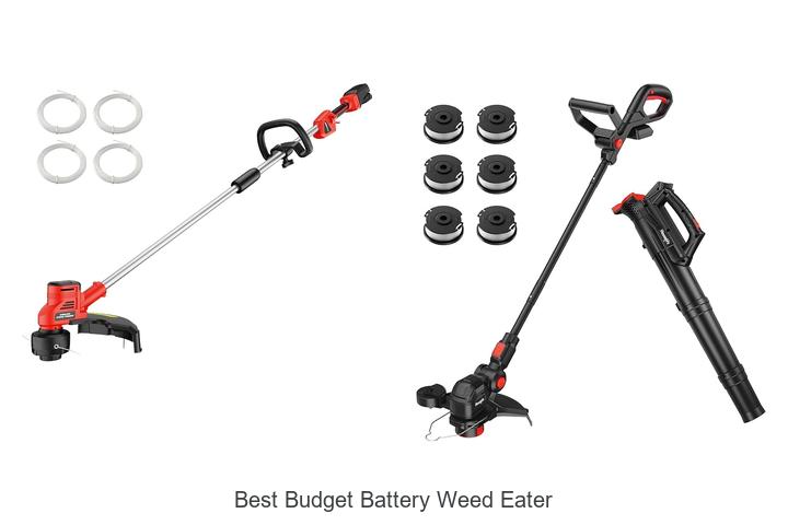 Best Budget Battery Weed Eater That Will Blow Your Mind!
