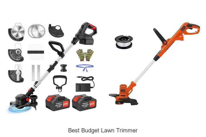 Best Budget Lawn Trimmer That Will Blow Your Mind!