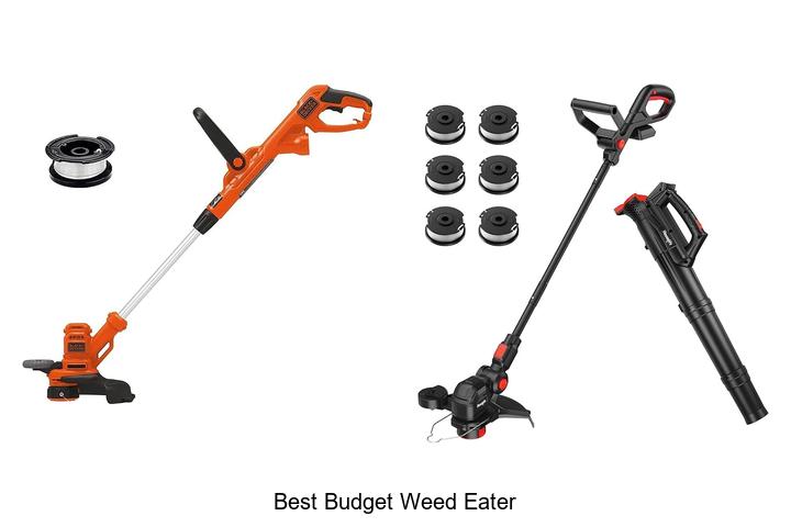 Best Budget Weed Eater That Will Blow Your Mind Today!