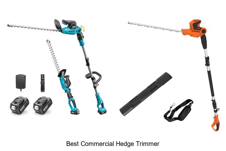 Best Commercial Hedge Trimmer That Professionals Swear By