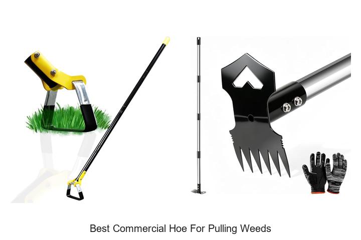 Best Commercial Hoe For Pulling Weeds That Actually Works!