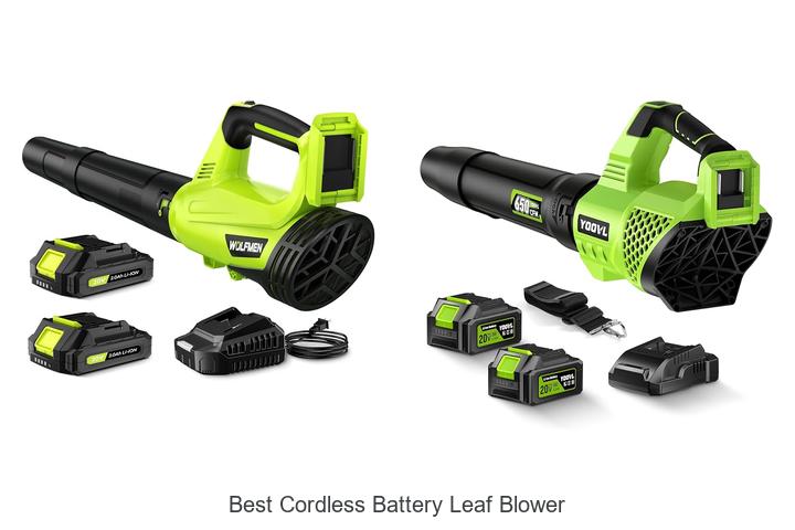 Top 10 Best Cordless Battery Leaf Blower You Can’t Miss!