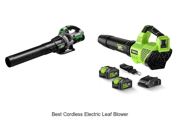 Top 10 Best Cordless Electric Leaf Blower You Need Now