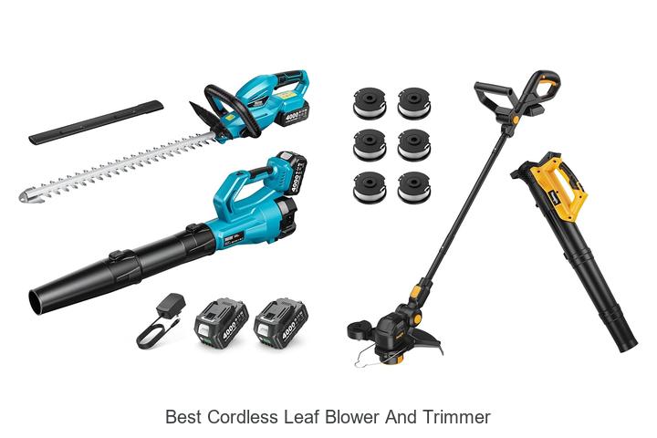 Discover The Best Cordless Leaf Blower And Trimmer Now!