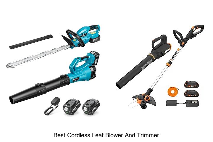 Top 10 Best Cordless Leaf Blower and Trimmer You Need Now