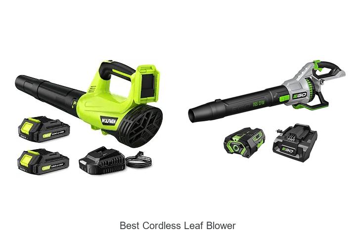 Top 10 Best Cordless Leaf Blower That Will Blow You Away