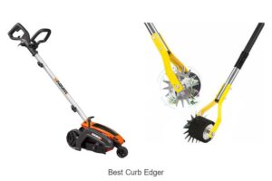 BEST CURB EDGER SECRETS REVEALED FOR PERFECT LAWNS!