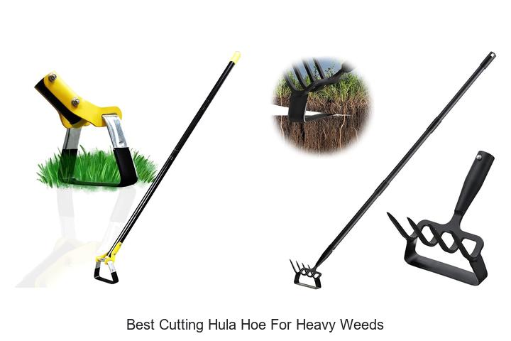 Best Cutting Hula Hoe for Heavy Weeds That Works Fast!