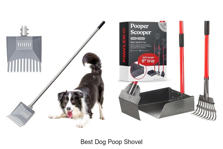 Best Dog Poop Shovel That Makes Cleanup Effortless!