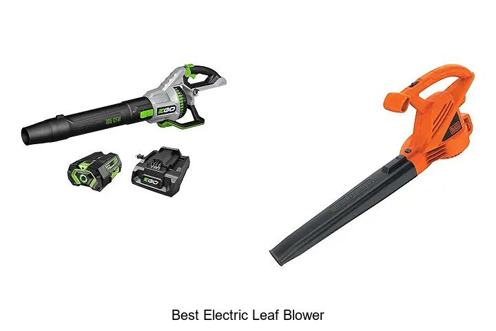 Top 10 Best Electric Leaf Blower You Can’t Miss Today