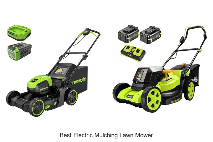 Top 10 Best Electric Mulching Lawn Mower That Saves Time