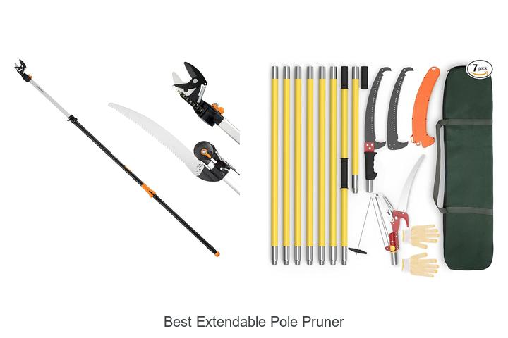 Top 10 Best Extendable Pole Pruner That Will Blow Your Mind