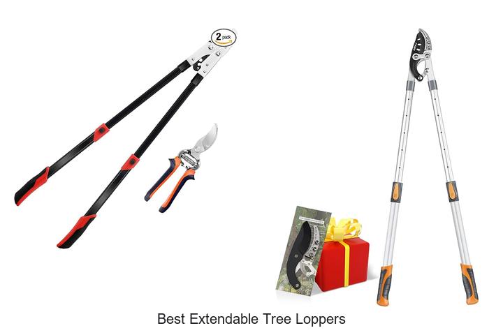 Best Extendable Tree Loppers That Will Blow Your Mind!