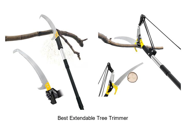 Discover The Best Extendable Tree Trimmer You Need Now!