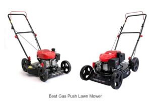 Top 10 Best Gas Push Lawn Mower You Can’t Miss!
