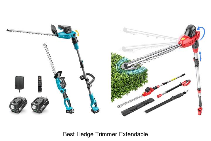 Best Hedge Trimmer Extendable Tips You Can’t Miss Today!