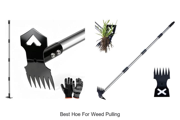 Discover The Best Hoe For Weed Pulling That Works Fast!