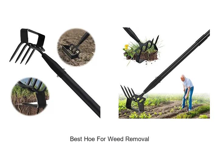 Best Hoe For Weed Removal: Top Pick That Really Works!
