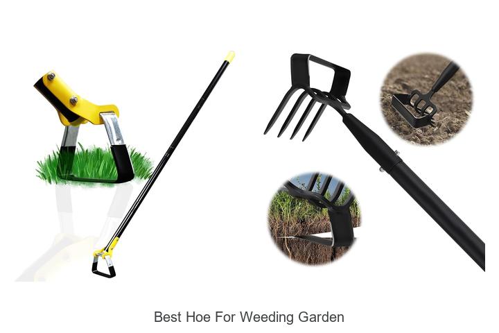 Best Hoe for Weeding Garden: Uncover Top Picks Now!