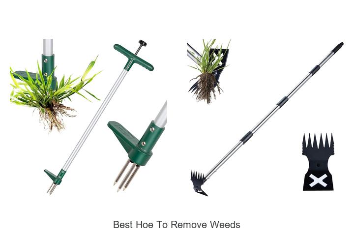 Best Hoe To Remove Weeds: Unlock Effortless Garden Bliss!