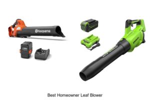 Top 10 Best Homeowner Leaf Blower That Blows All Away