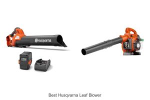 Top 10 Best Husqvarna Leaf Blower Secrets Revealed!