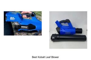 Top 10 Best Kobalt Leaf Blower You Can’t Miss!