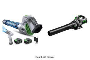Top 10 Best Leaf Blower That Will Blow Your Mind Today