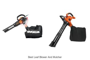 Top 10 Best Leaf Blower And Mulcher You Can’t Miss!