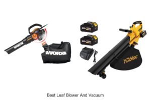 Top 10 Best Leaf Blower and Vacuum You Can’t Miss!