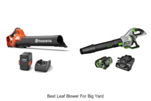 Top 10 Best Leaf Blower For Big Yard You Can’t Miss!