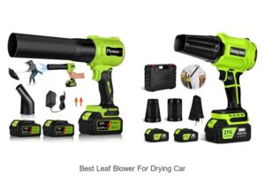 Top 10 Best Leaf Blower for Drying Car You Need Now!