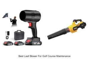 Top 10 Best Leaf Blower for Golf Course Maintenance Secrets