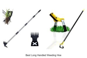 Best Long Handled Weeding Hoe That’ll Change Your Garden!