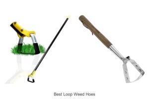 Discover The Best Loop Weed Hoes For Effortless Gardening!