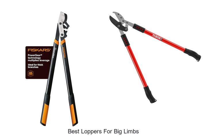 Best Loppers for Big Limbs: Cut Like a Pro Today!