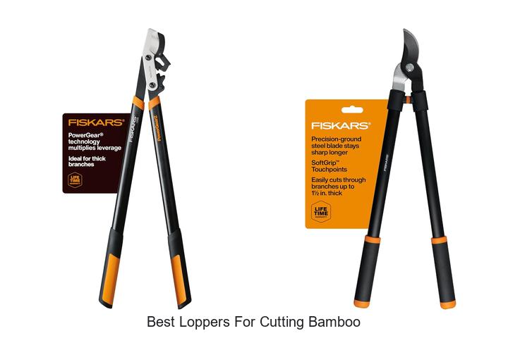 Best Loppers for Cutting Bamboo: Cut Bamboo Like a Pro!