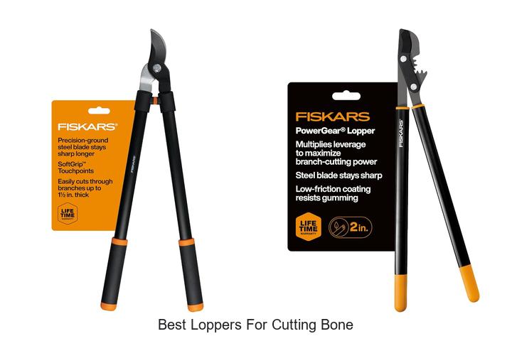 Best Loppers for Cutting Bone: Cut Like a Pro Today!