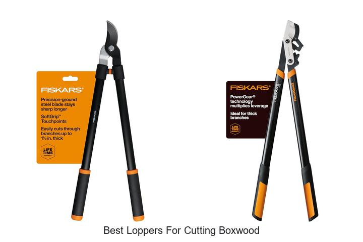 Best Loppers for Cutting Boxwood: Trim Like a Pro Now!