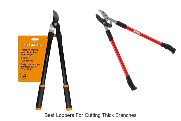 Best Loppers for Cutting Thick Branches Revealed!
