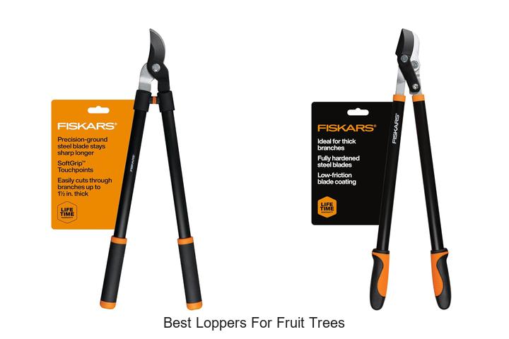 Best Loppers For Fruit Trees: Cut Like A Pro Today!