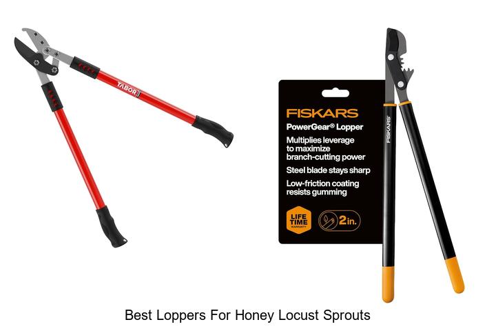Best Loppers for Honey Locust Sprouts: Top Picks Revealed
