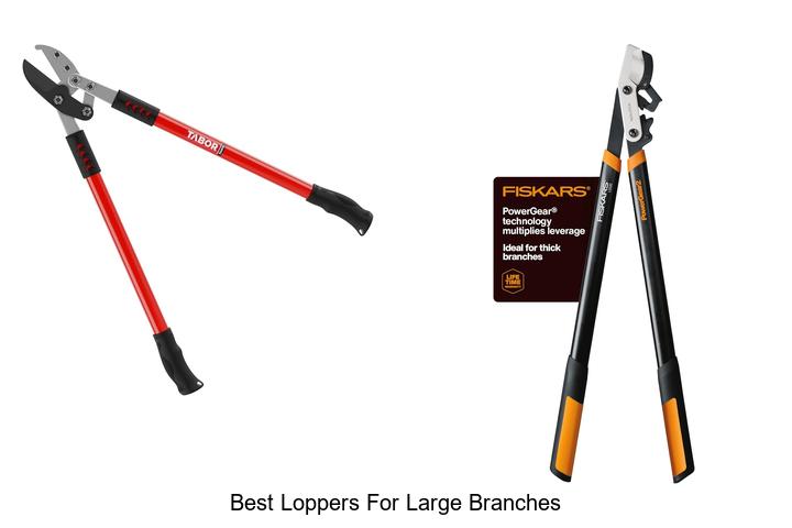 Best Loppers for Large Branches That Make Cutting Easy